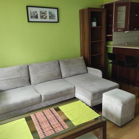 サノクApartament Strozowskaアパートメント エクステリア 写真